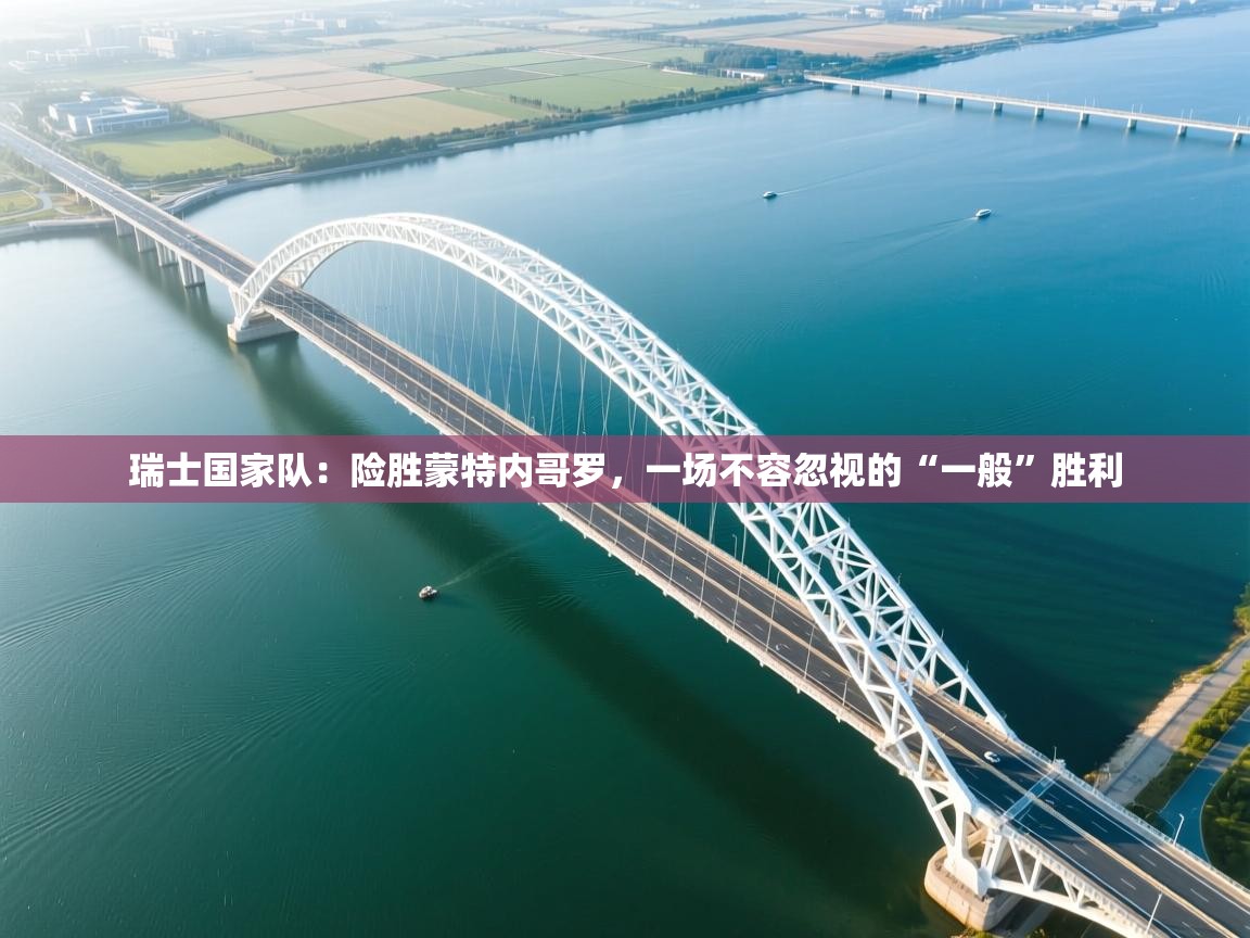 瑞士国家队:险胜蒙特内哥罗,一场不容忽视的“一般”胜利 第2张