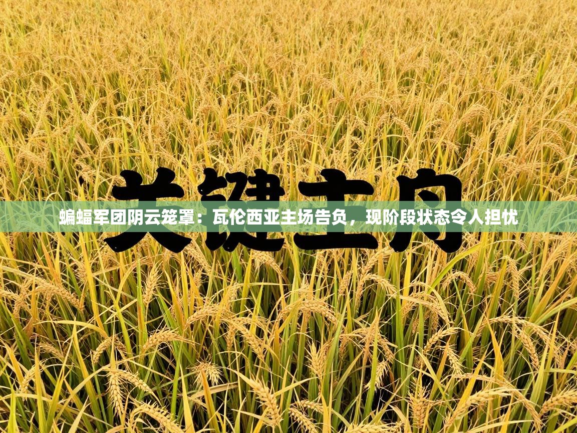 蝙蝠军团阴云笼罩：瓦伦西亚主场告负，现阶段状态令人担忧  第1张